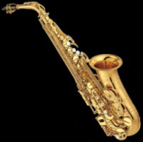 Saxophone repaired by Flute Fix